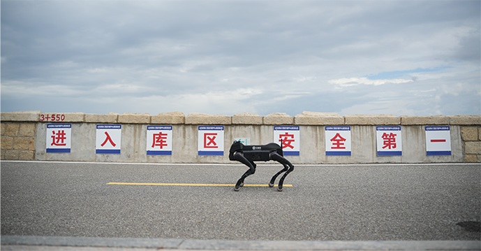 水利案例二