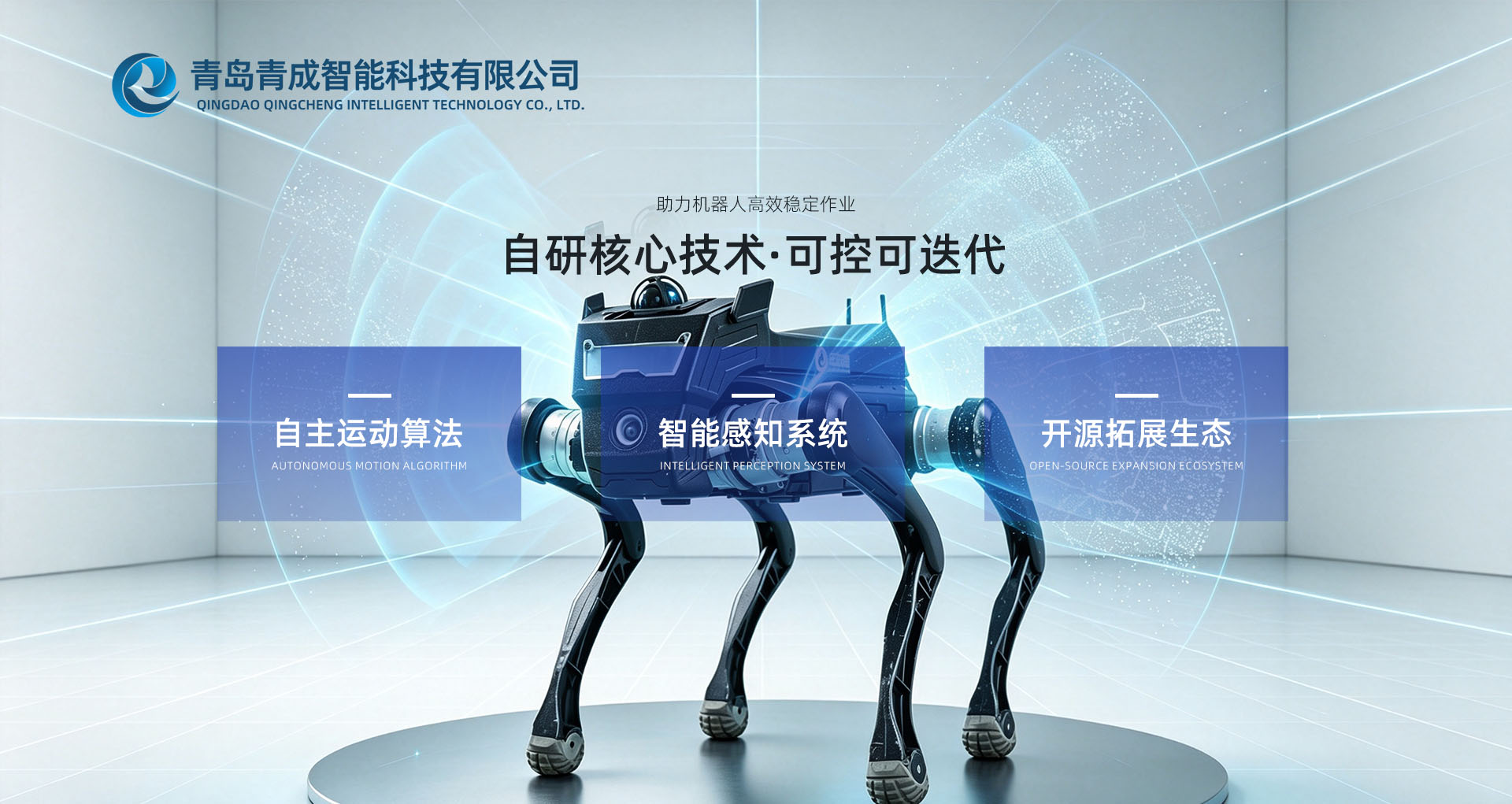 技术优势